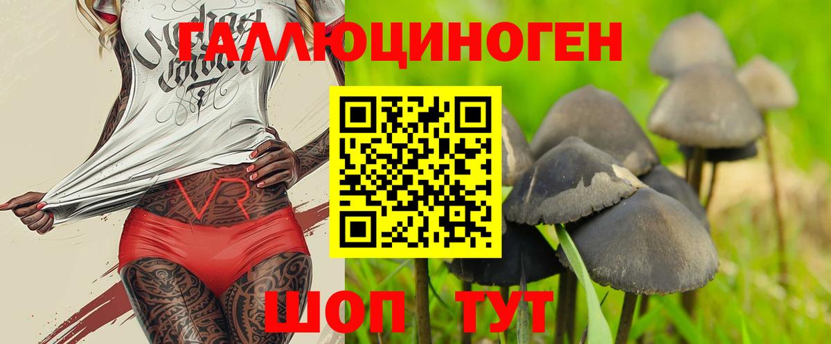 Галлюциногенные грибы GOLDEN TEACHER  Вход с VPN  Сыктывкар  Псилоцибиновые грибы Psilocybe 
